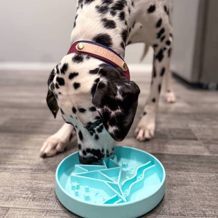 Barks and Brownies - Wholesale Pet Bowl - Cat/Dog - Signature Origami Slow Feeder Blue3