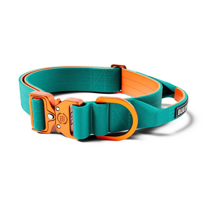 Combat® 4cm Halsband mit Griff und geprüftem Clip #6 für den Großhandel von BullyBillows Ltd