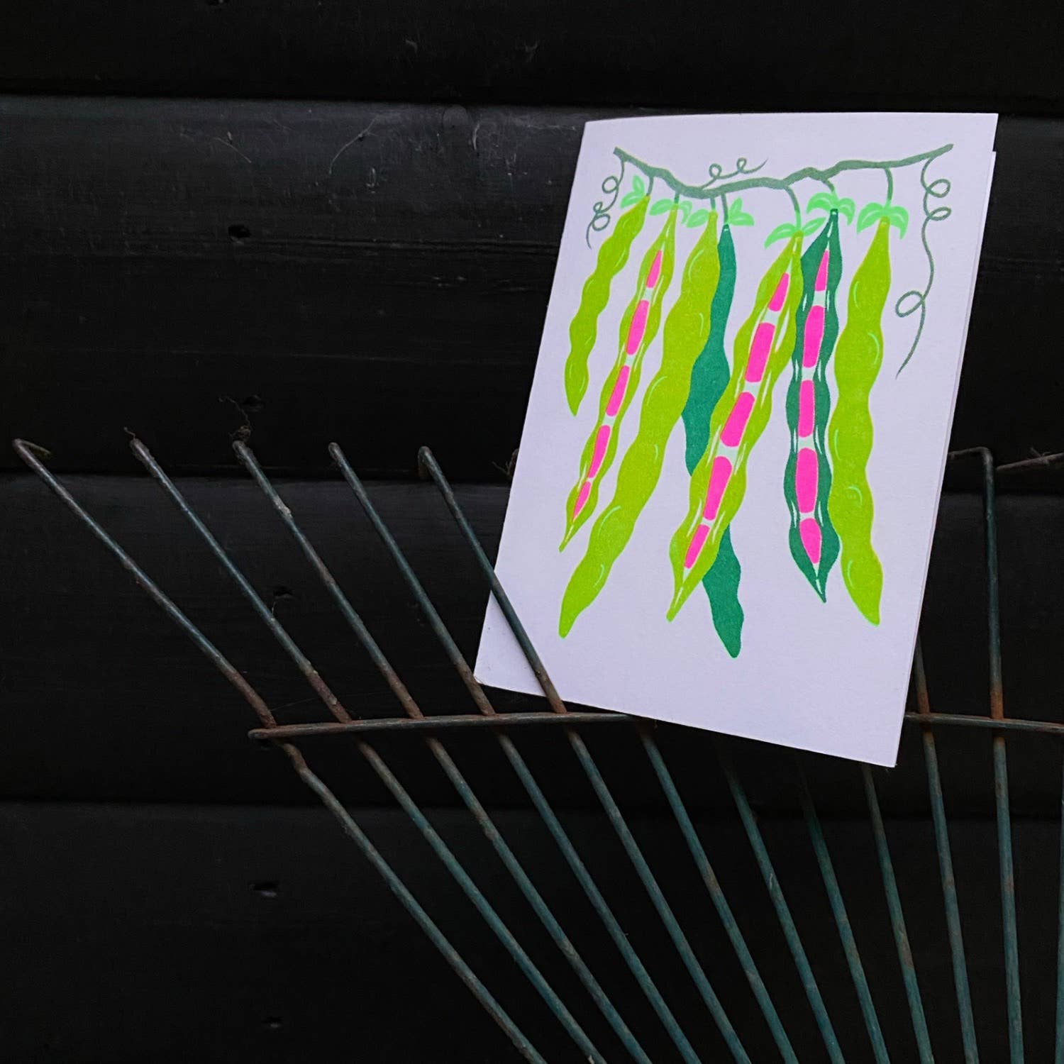 Petra Boase Ltd (US Duties Paid) - Wholesale Everyday Greeting Card - Grow Cards (Pack of 6) Beans2