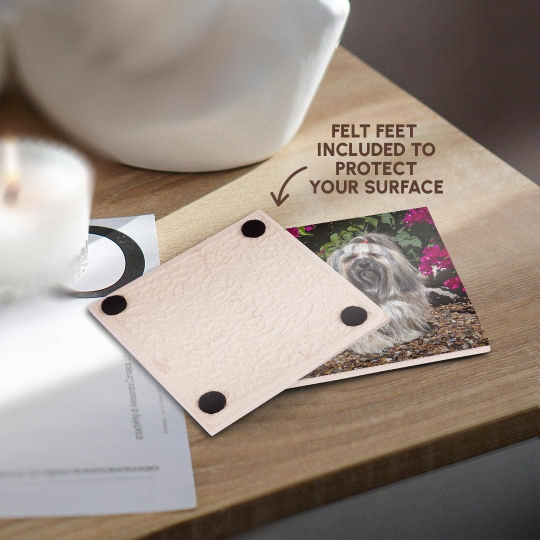 3dRose - Wholesale Coasters - 3dRose, Havanese sitting in front of flowers , Coaster3