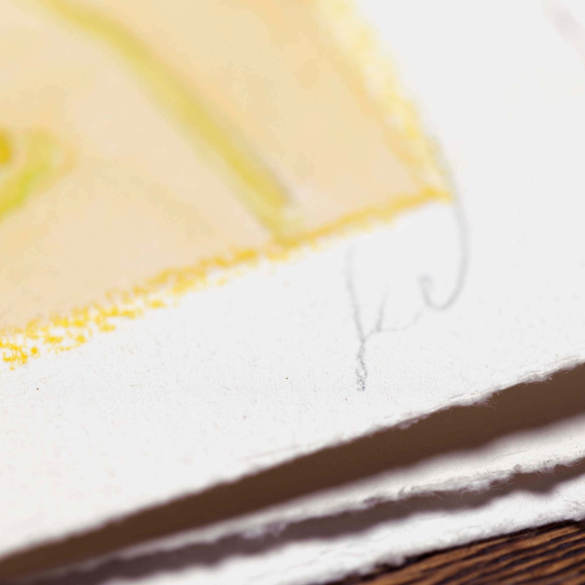 Holy Kaw Wall Art - Vendita all'ingrosso Stampa artistica - Stampa fine-art da parete, stampa artistica Peonia #24