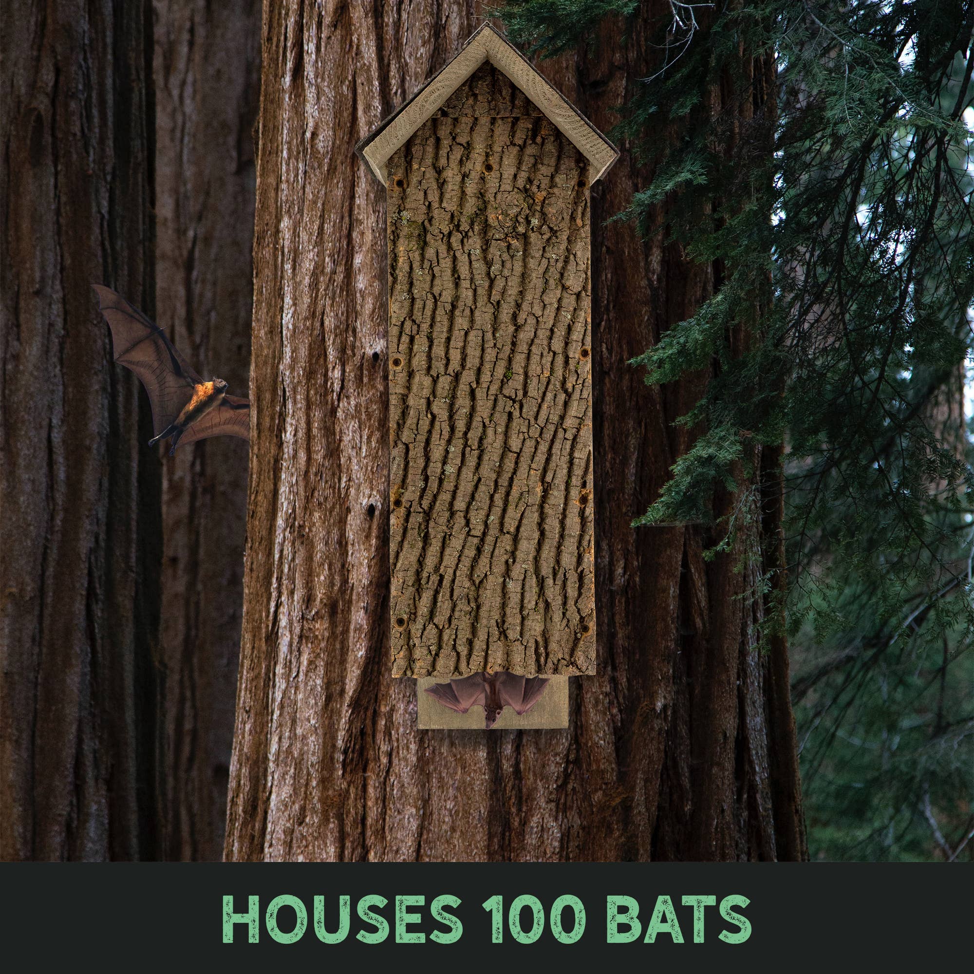 Kurated Korner – wholesale Bird house – Uncle Dunkel's Multi-Chamber Bat House2