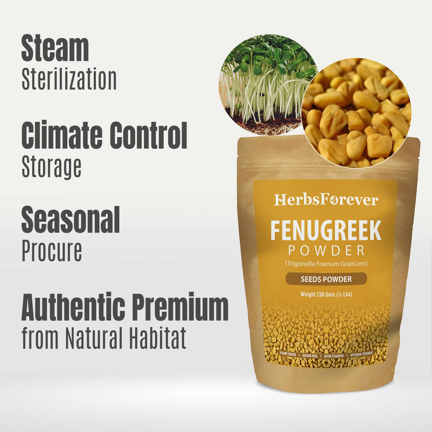 HerbsForever - Wholesale Protein/Superfood Powder - Fenugreek Powder Non-GMO Vegan Trigonella Foenum Graecum4