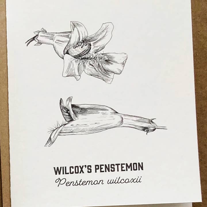 Madrona Press - Wholesale DIY Craft Kit - Watercolor Card Kit - 1 Wildflower Card9