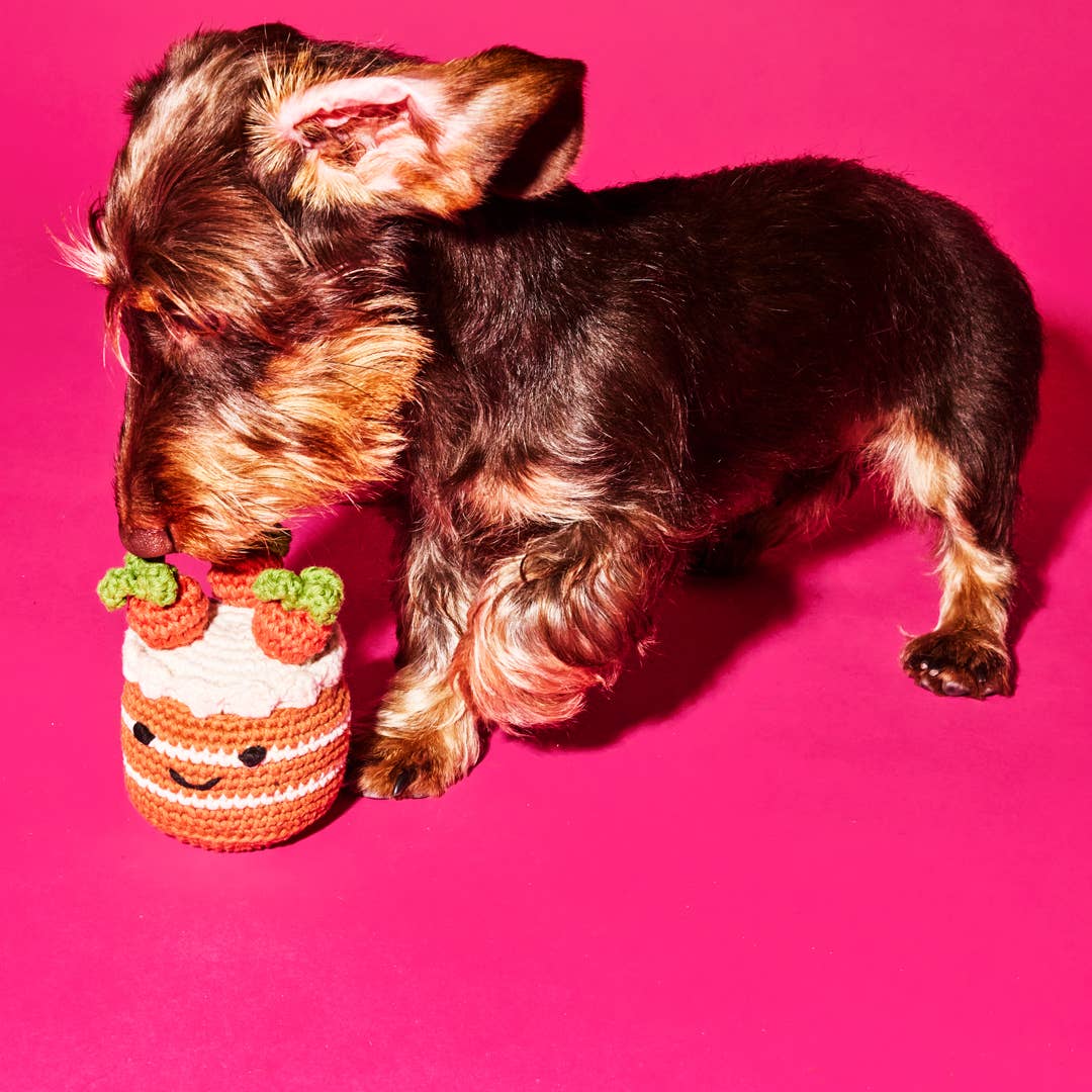 Ware of the Dog - Wholesale Pet Squeaky Toy - Dog - Cotton Crochet Carrot Cake Dog Toy2