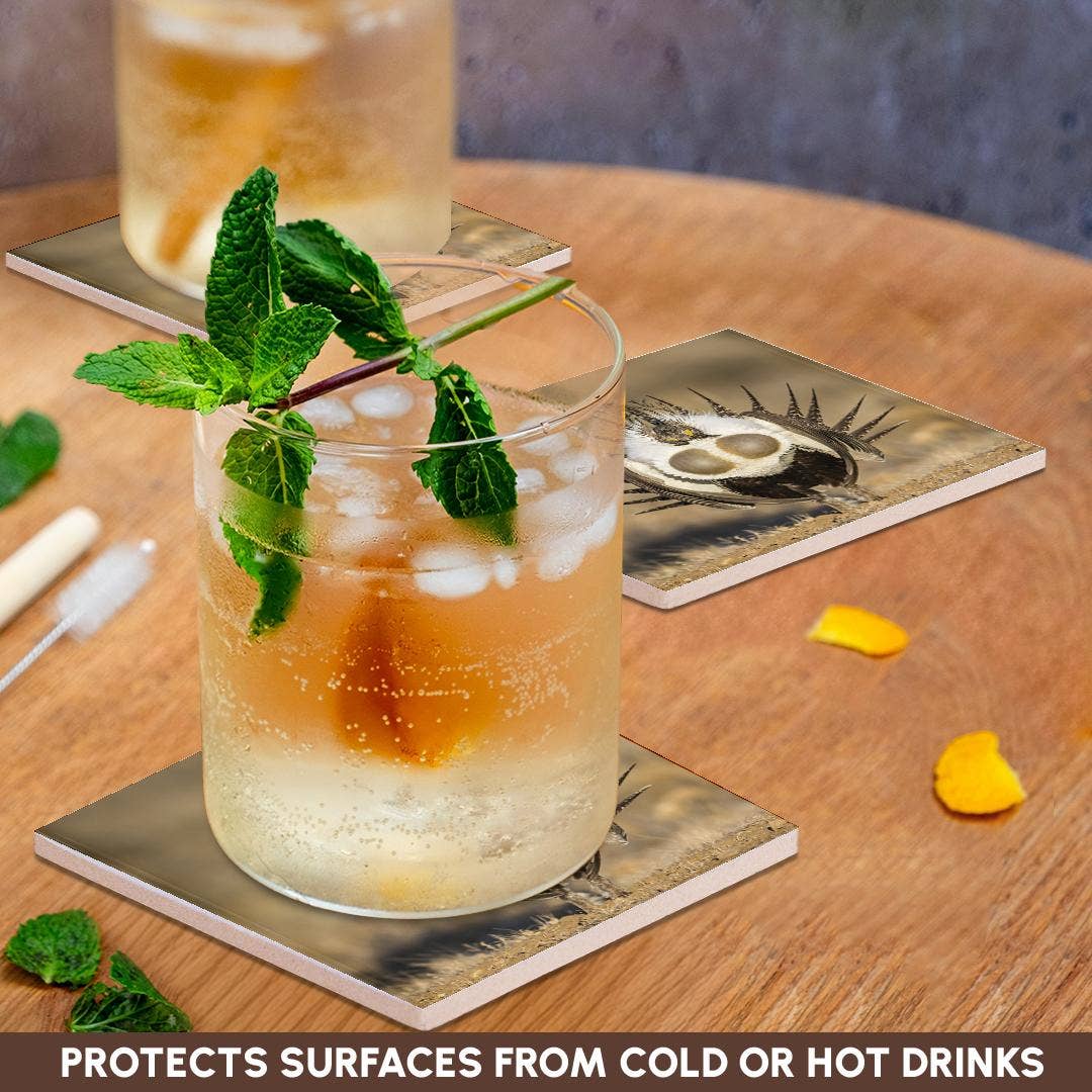 3dRose - Wholesale Coasters - 3dRose, USA, WY. Male Greater Sage Grouse displays on a lek in Spring., Coaster2