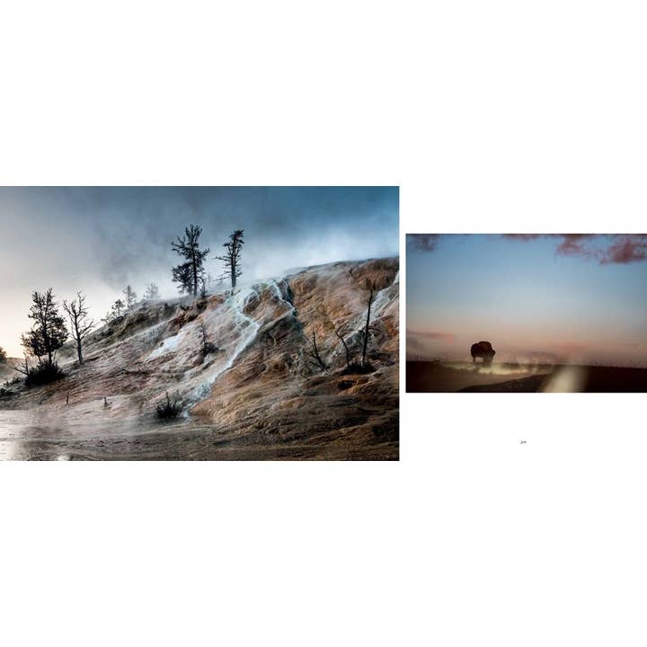 Gibbs Smith - Wholesale Nature & Outdoors - Bison: Portrait of an Icon3