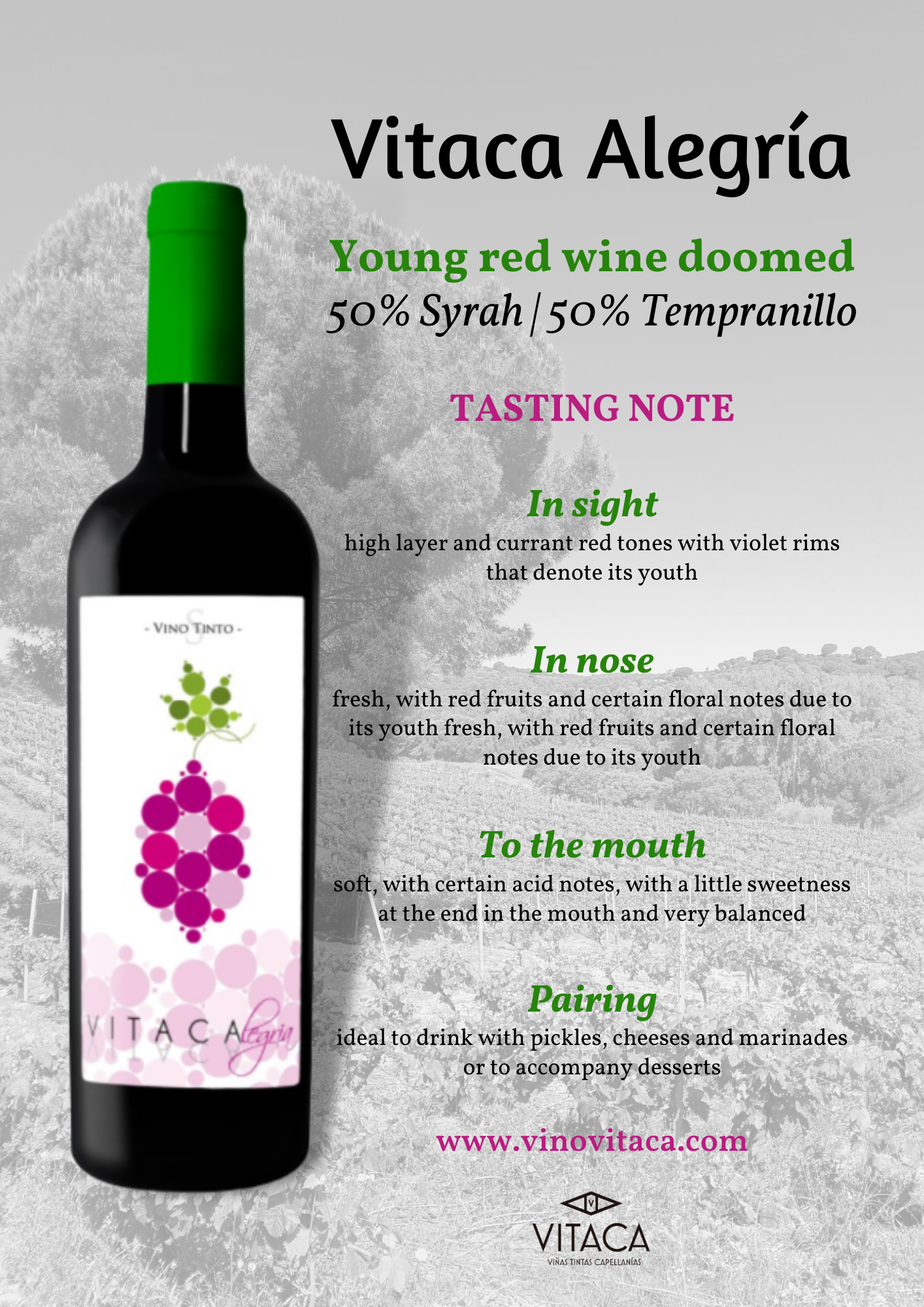 VINO VITACA - Wholesale Champagne/Sparkling Wine - VITACA ALEGRIA3