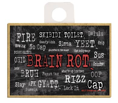 SJT Enterprises, Inc. - Wholesale Magnet - Brain rot - collage of words / wood fridge magnet0