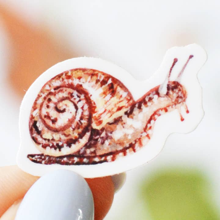 Pegatina Tiny Snail para venta al por mayor de Laura King Paints
