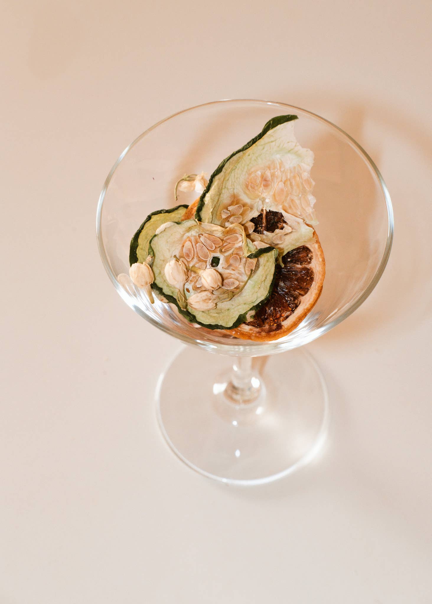 Root Elixirs - Wholesale Cocktail Mix/Syrup - Root Elixirs Dehydrated Citrus Cucumber Garnish Pack