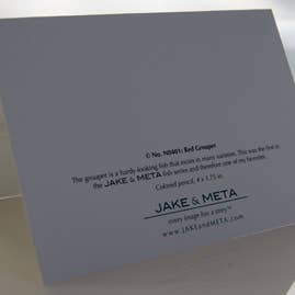 JAKE & META - Vendita all'ingrosso Set di cartoleria/cancelleria - Cartoline da spiaggia costiera: Cernia3