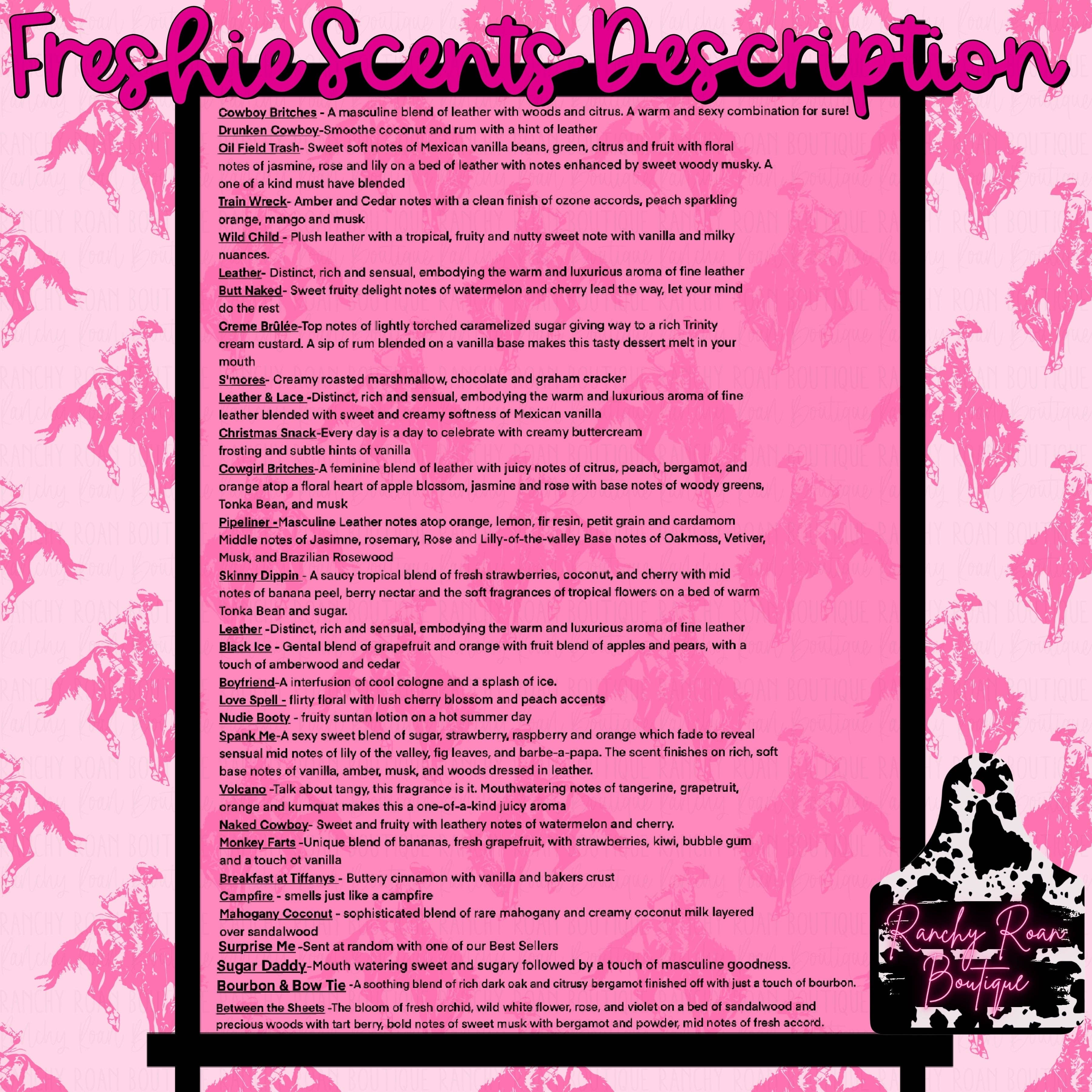 Ranchy Roan Boutique - Wholesale Car Freshener - Women's - Western Cowgirl Felt Freshie2