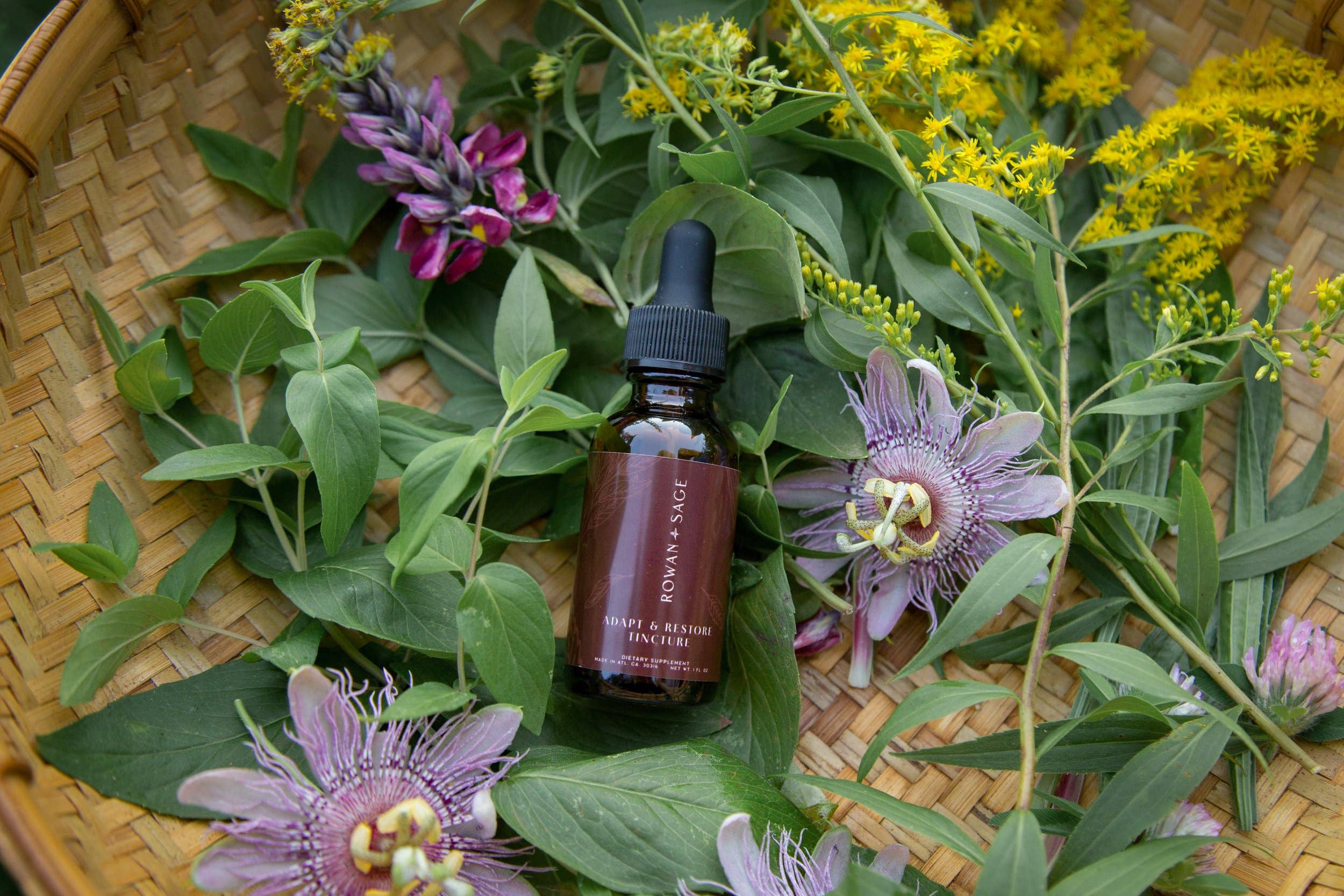 Rowan + Sage - Wholesale Tincture - Adapt + Restore Tincture Formula – Adaptogens for Stress2