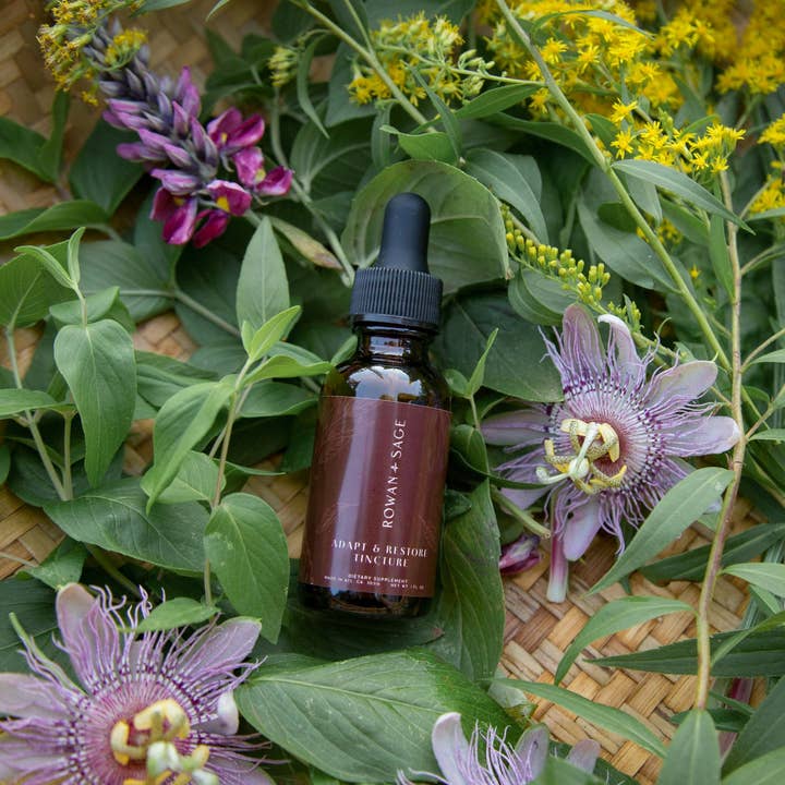 Rowan + Sage - Wholesale Tincture - Adapt + Restore Tincture Formula – Adaptogens for Stress2