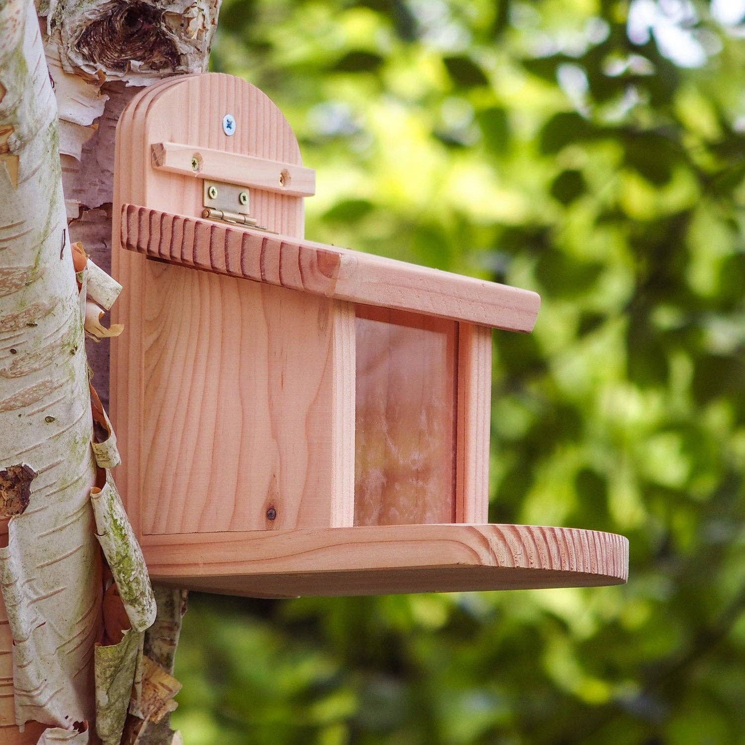 Wildlife World – wholesale Bird feeder – Squirrel Feeder