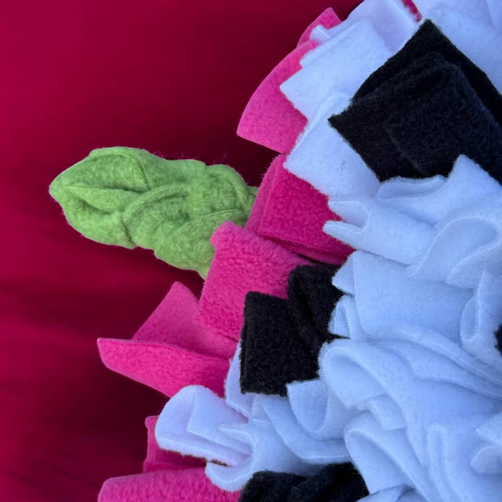 Schnüffel Dog - Wholesale Pet Food Mat - Dog - Lg. Snuffle Mat Dragon Fruit1