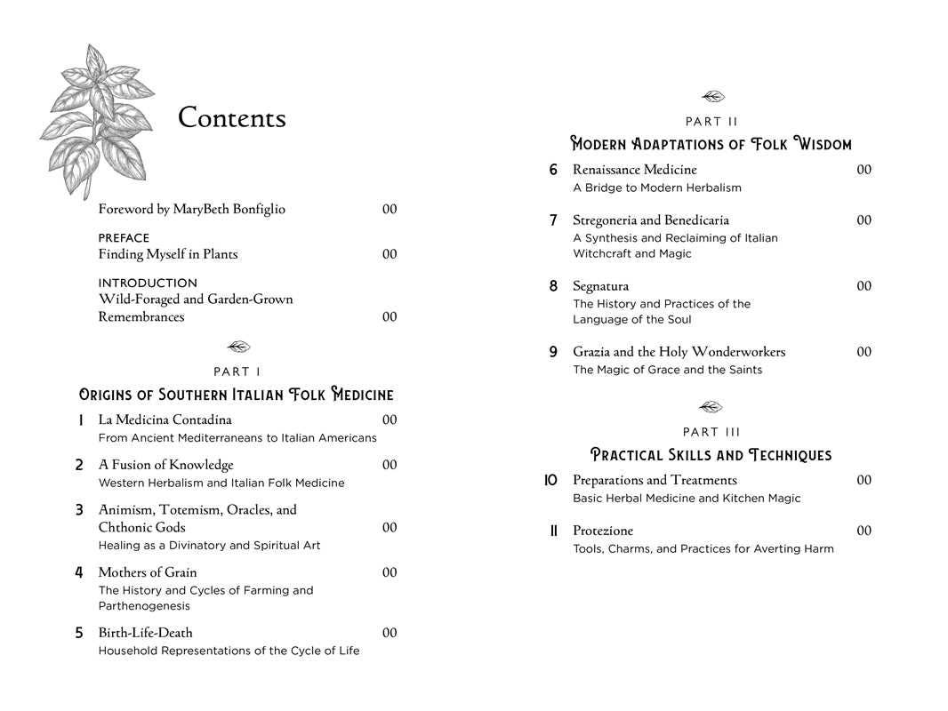 Simon & Schuster - Wholesale Medical Health - Della Medicina by Lisa Fazio1