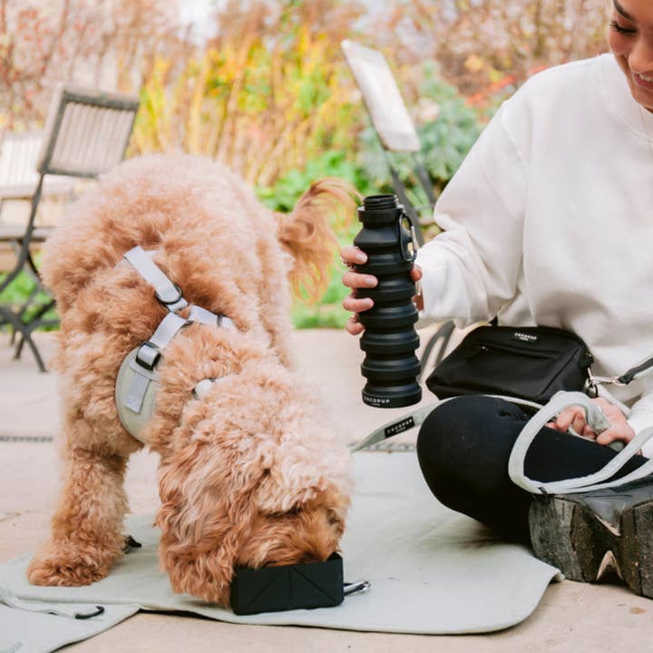 Cocopup London - Vendita all'ingrosso Ciotola - Cani e gatti - Ciotola da viaggio pieghevole - Nera5