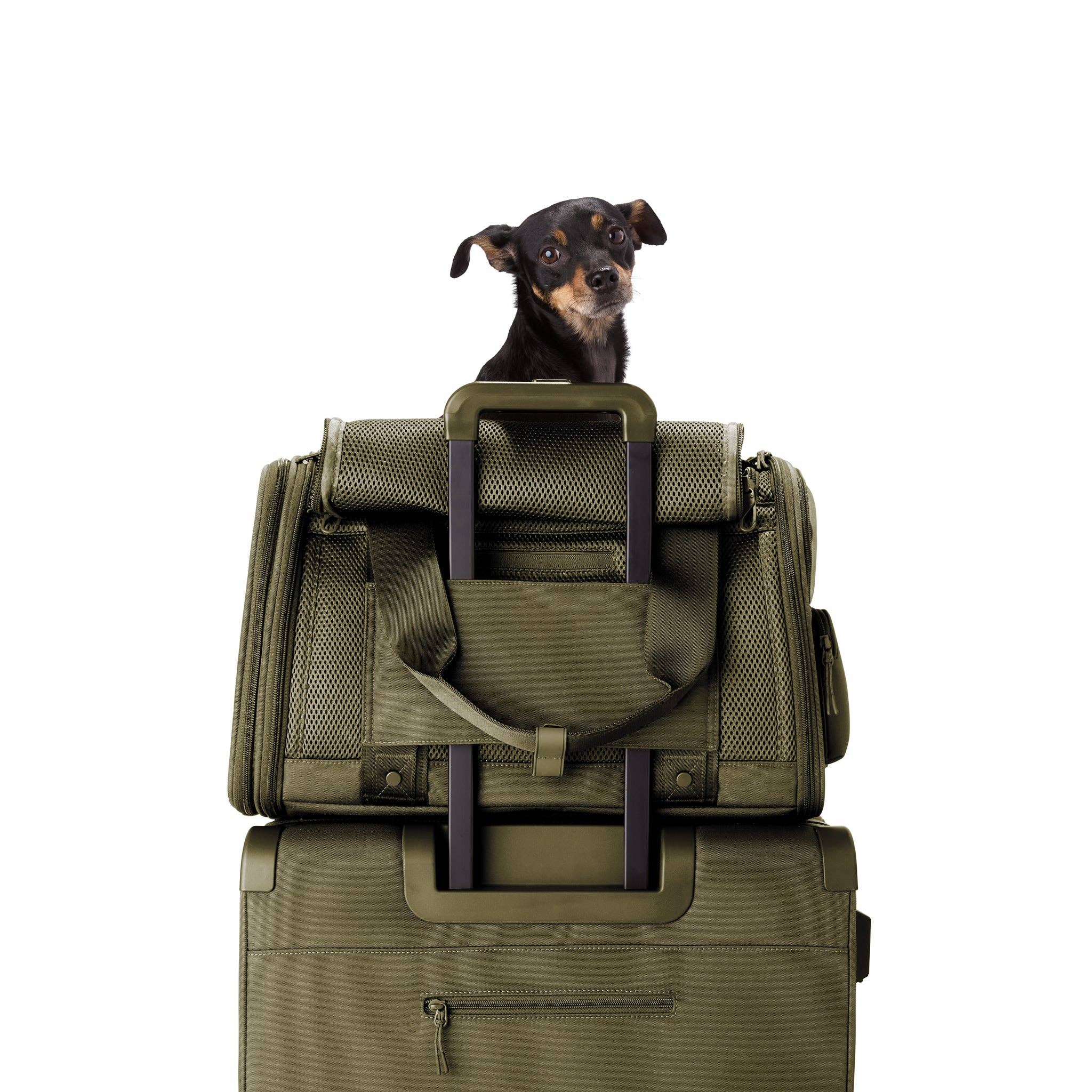 Dagne Dover - Wholesale Pet Carrier - Cat/Dog - Kyoto Pet Carrier in Dark Moss, Large5