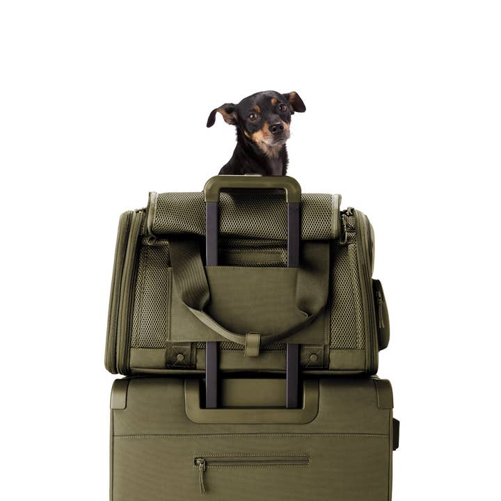 Dagne Dover - Wholesale Pet Carrier - Cat/Dog - Kyoto Pet Carrier in Dark Moss, Large5