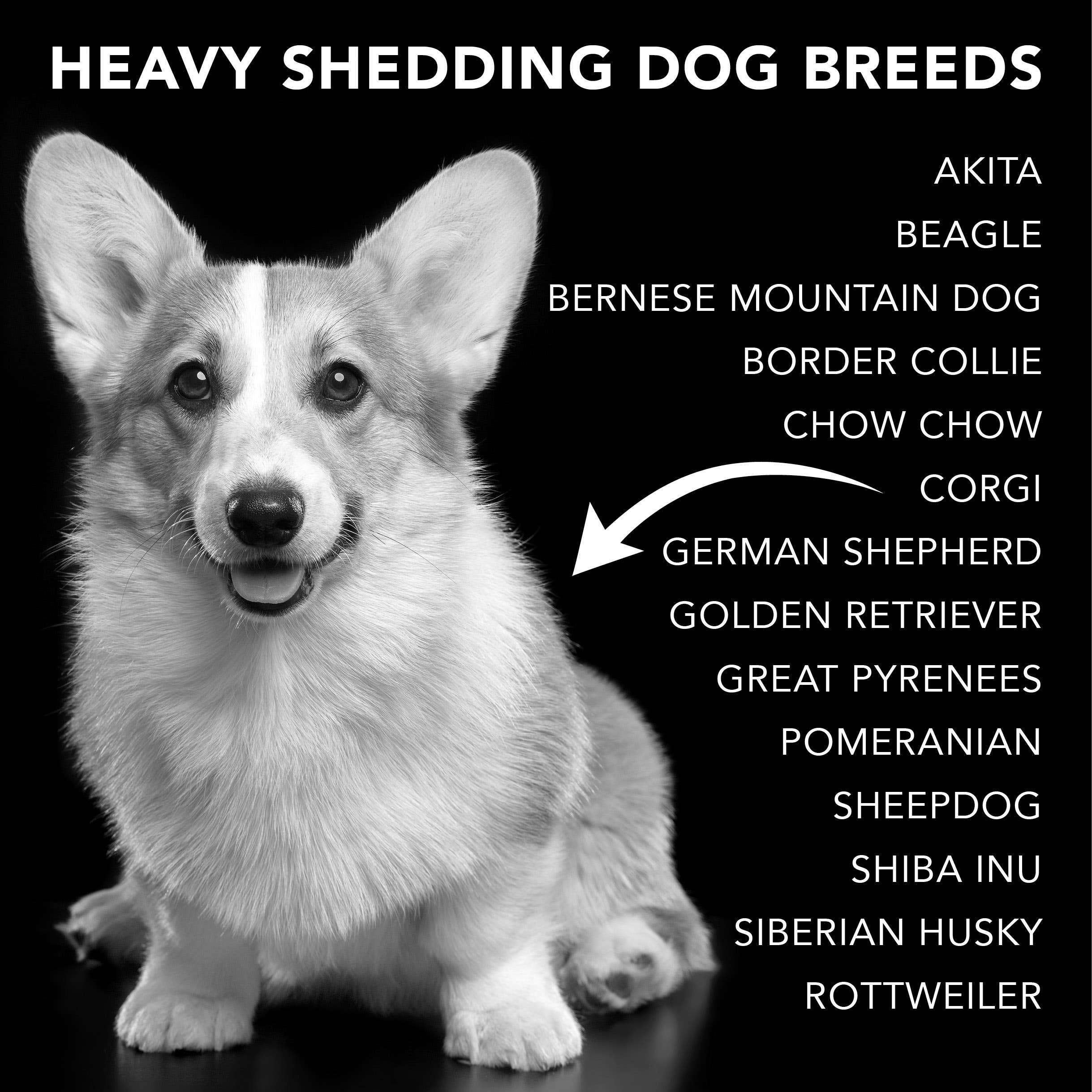 PRIDE+GROOM - Wholesale Pet Shampoo - Dog - THE SHEDDER-PROFESSIONAL USE GALLON6