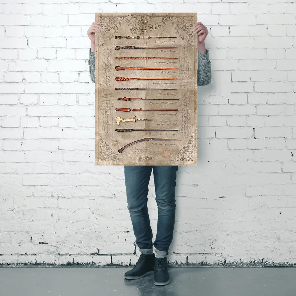 Close Up GmbH – Großhandel Poster – Harry Potter Poster The Wand Chooses The Wizard 91,5 x 61 cm3