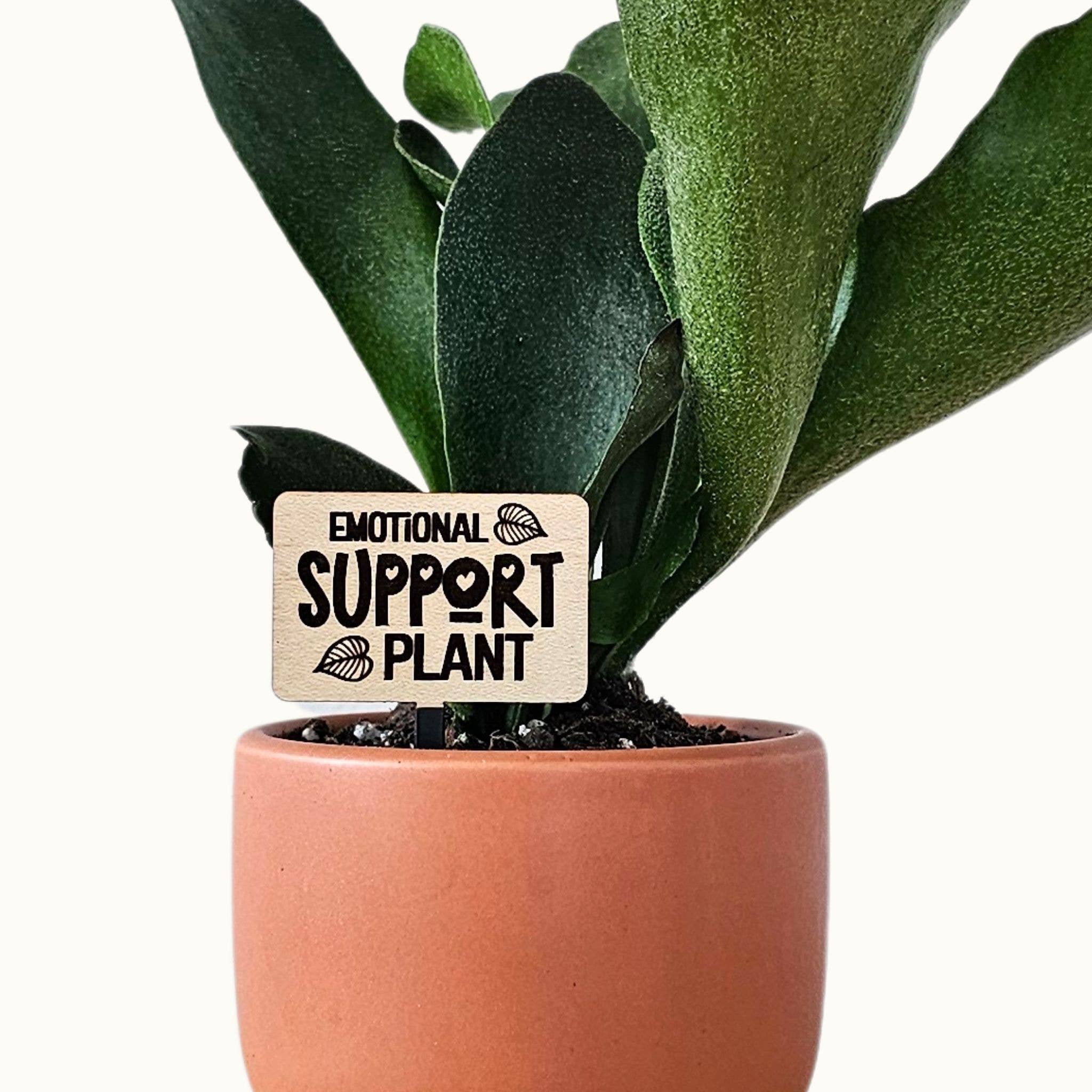 Leaf & Node - Wholesale Plant Pot - Funny Plant Sayings, Indoor Plant Accessories - Plant Stakes1