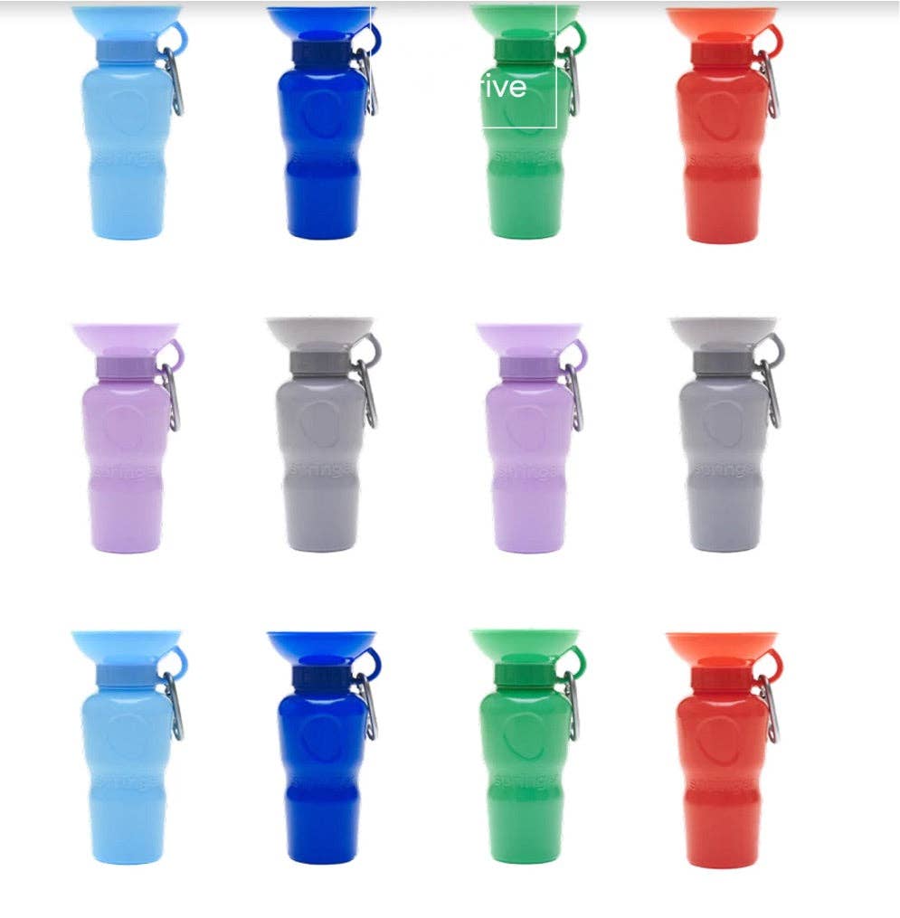 My Pawchella – wholesale Pet water bottle – Dog – Springer Water Bottle18