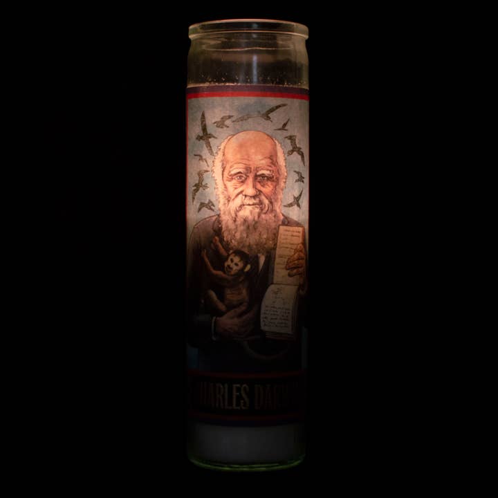 Unemployed Philosophers Guild - Venta al por mayor Velas en tarros - Charles Darwin - Vela Santa Secular