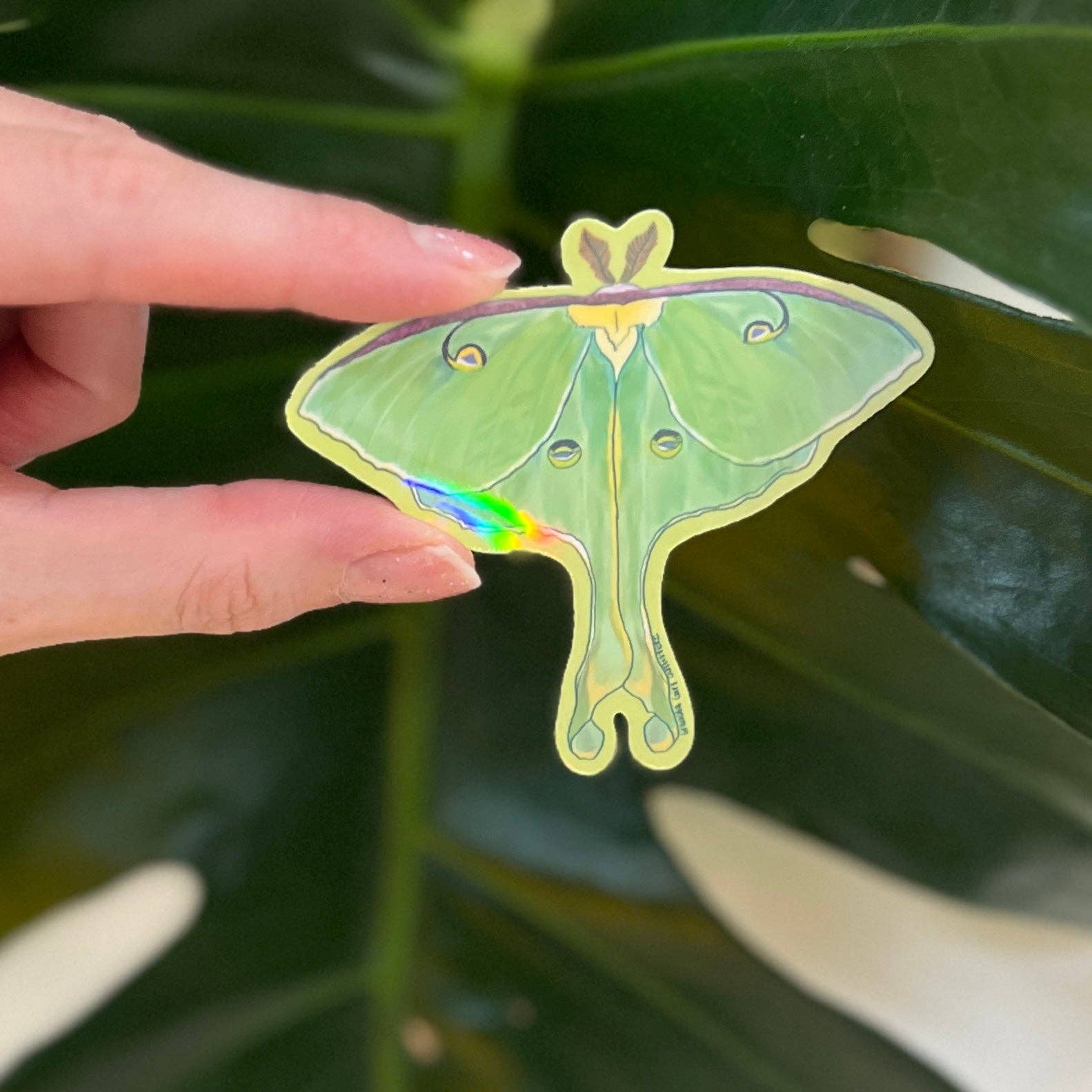 Granola Girl Outfitters - Wholesale Sticker - Holographic Luna Moth Sticker - Light-weight / Indoor: 🌿📖1