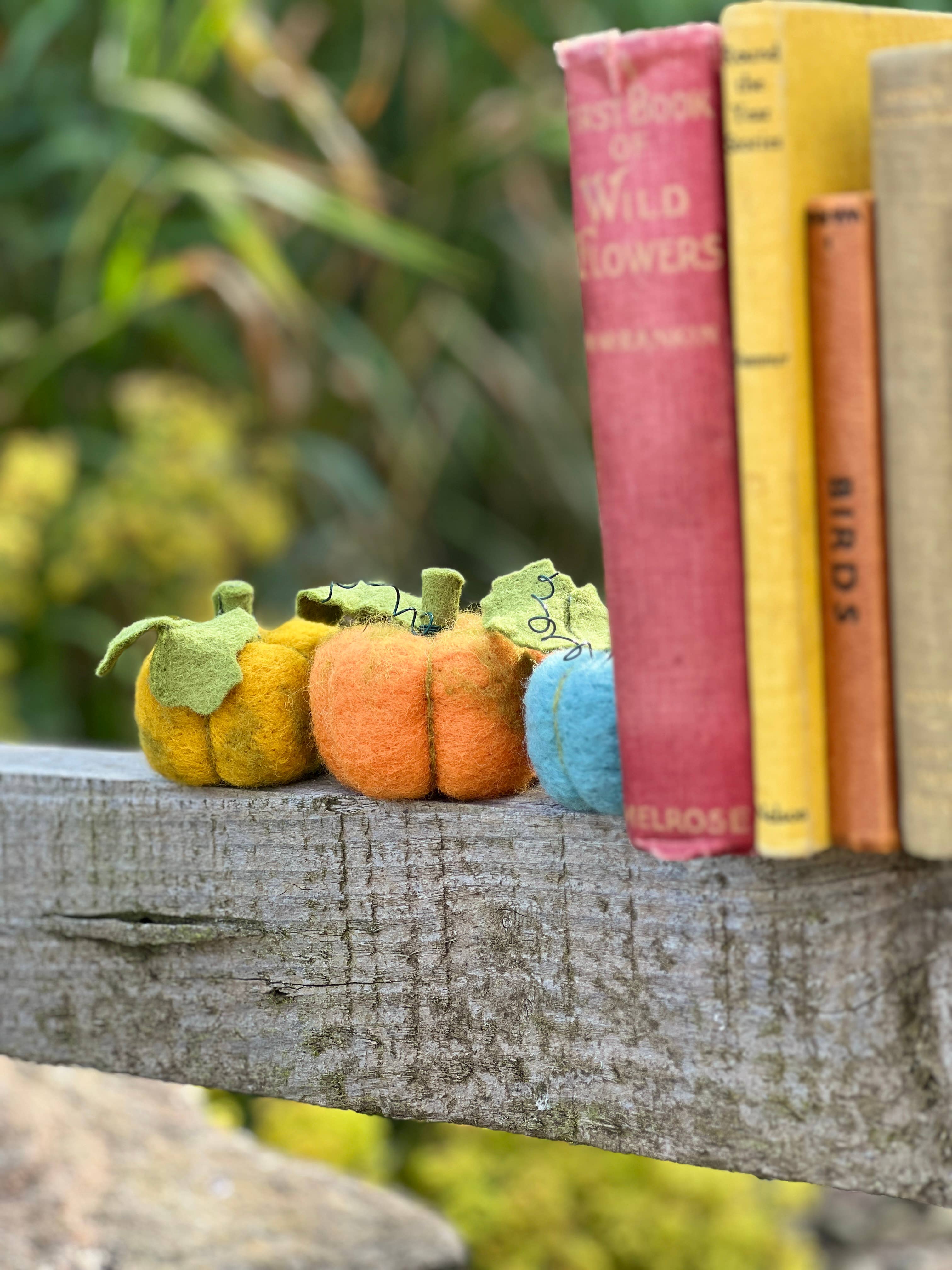 The Crafty Kit Company - Wholesale Craft Sewing Kit - Woolly Pumpkins Needle Felting Craft Kit5