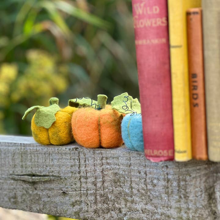 The Crafty Kit Company - Wholesale Craft Sewing Kit - Woolly Pumpkins Needle Felting Craft Kit5