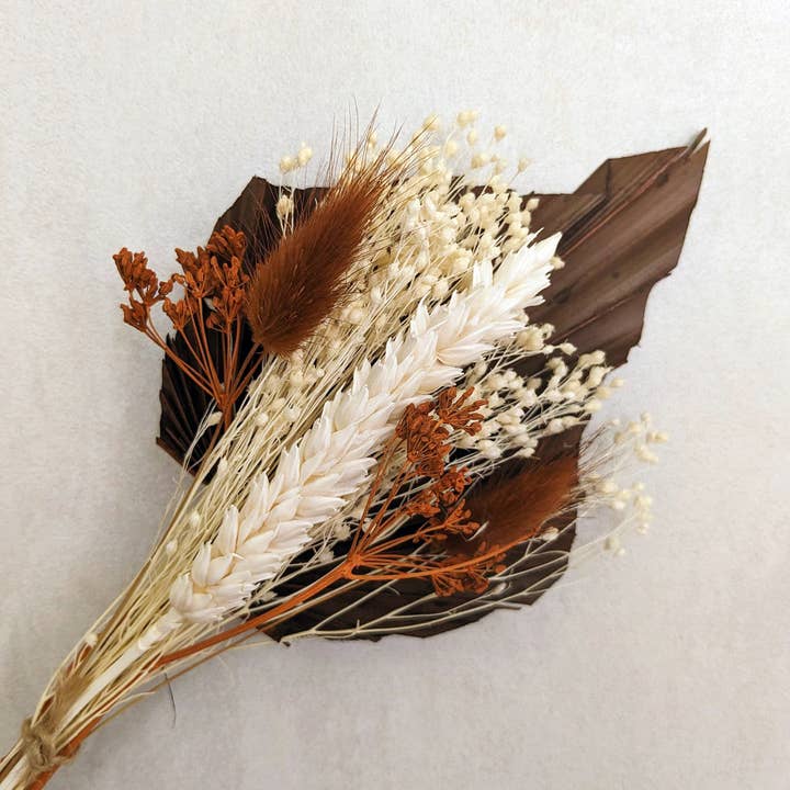 Maison Oline - Wholesale Dried/Pressed Flowers - Small bouquet of dried flowers: brown color