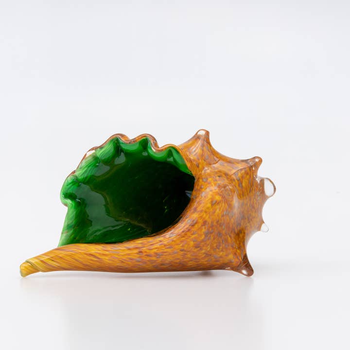 Caribbean Conch Shell for wholesale by Melt Glass Studios