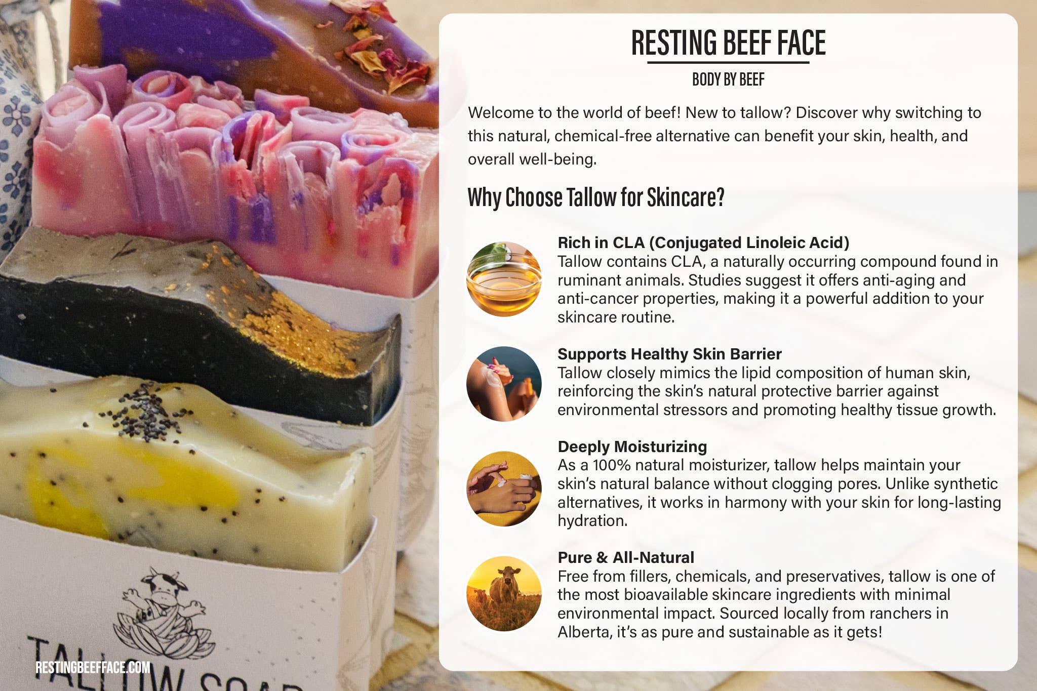 Resting Beef Face - Wholesale Bar Soap - RESTING BEEF FACE | CHARCOAL CLARITY TALLOW SOAP 4oz BARS4