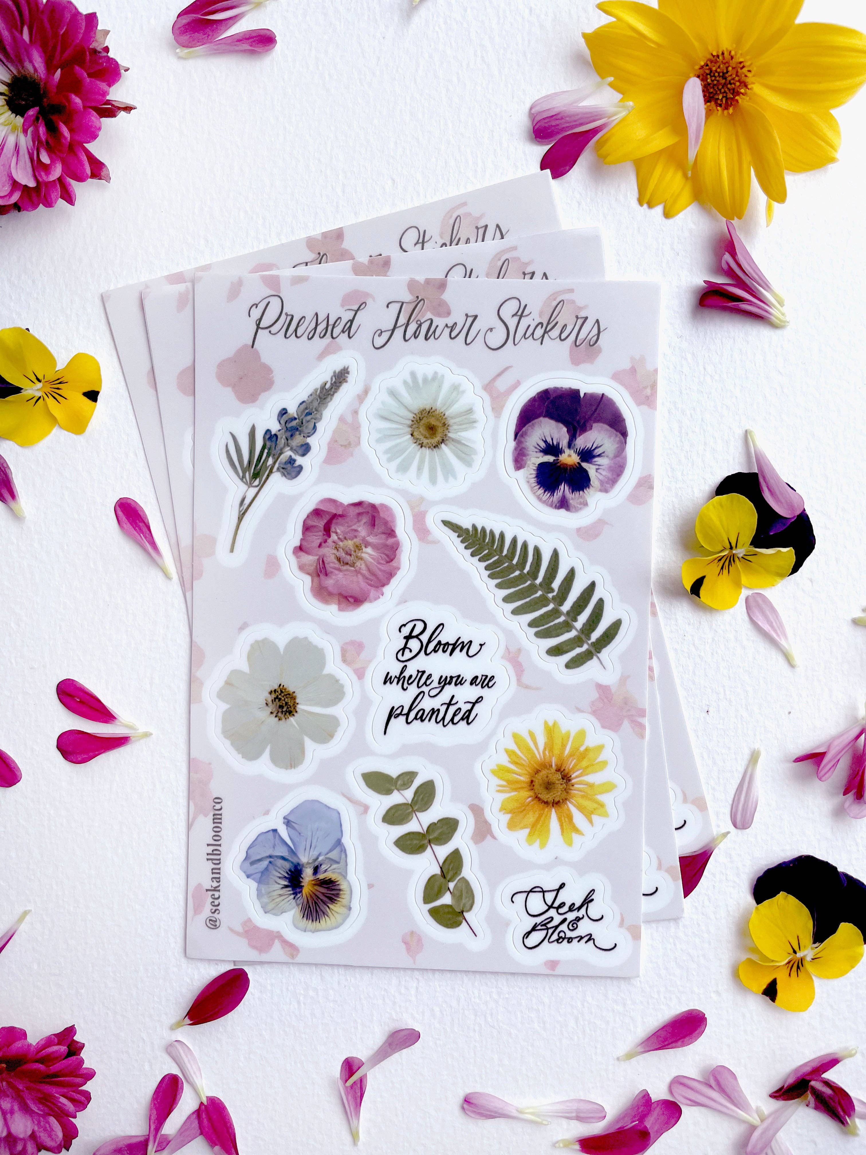 Seek & Bloom Creative Co. - Wholesale Sticker - Pressed Flowers Sticker 4x6" Sheet of 11 stickers0