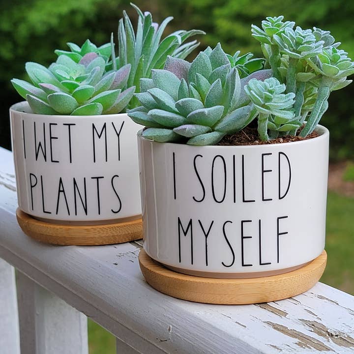 Vulpine Vinyls - Wholesale Plant Pot - I Wet My Plants Funny Succulent Pot, Multiple Sayings