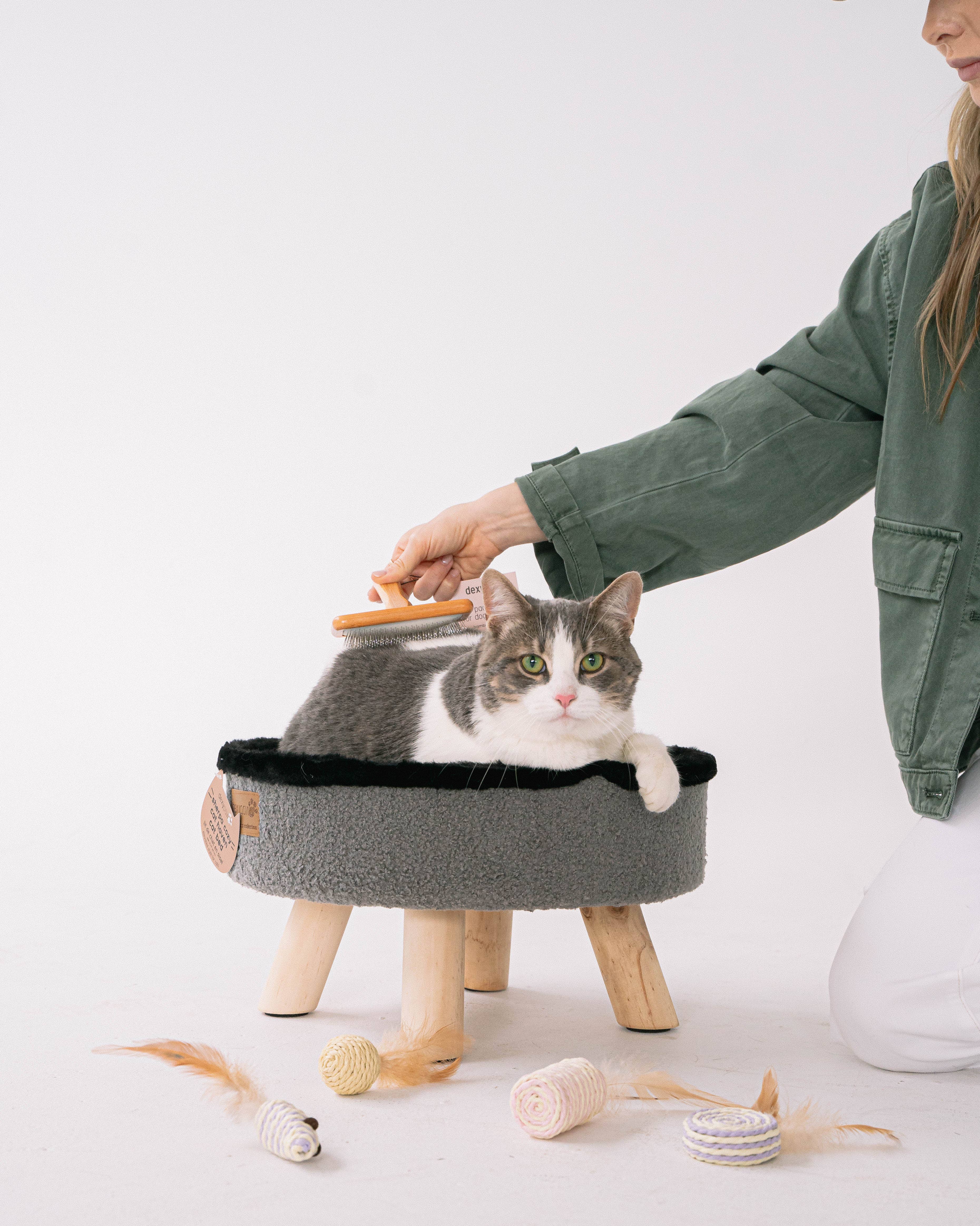 dexypaws – wholesale Pet brush – Cat/dog – Wide Paddle Brush for dogs & cats2