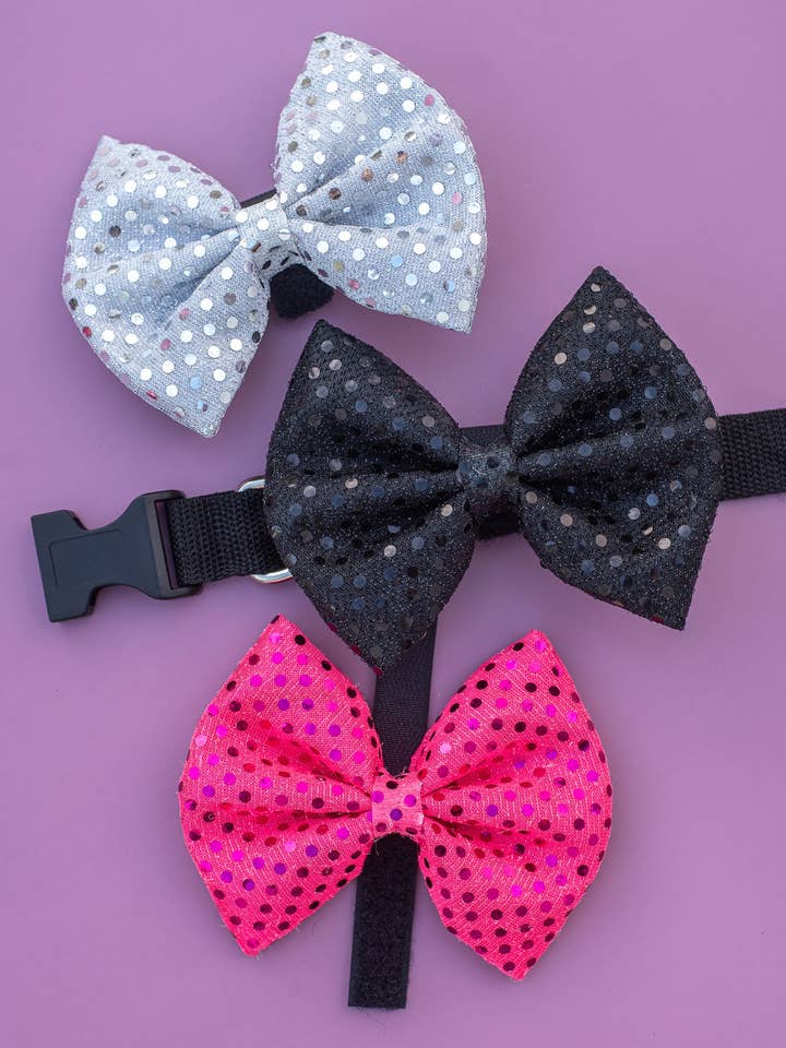 Coffret Disco (25 pièces) pour la vente par Pets Ribbons