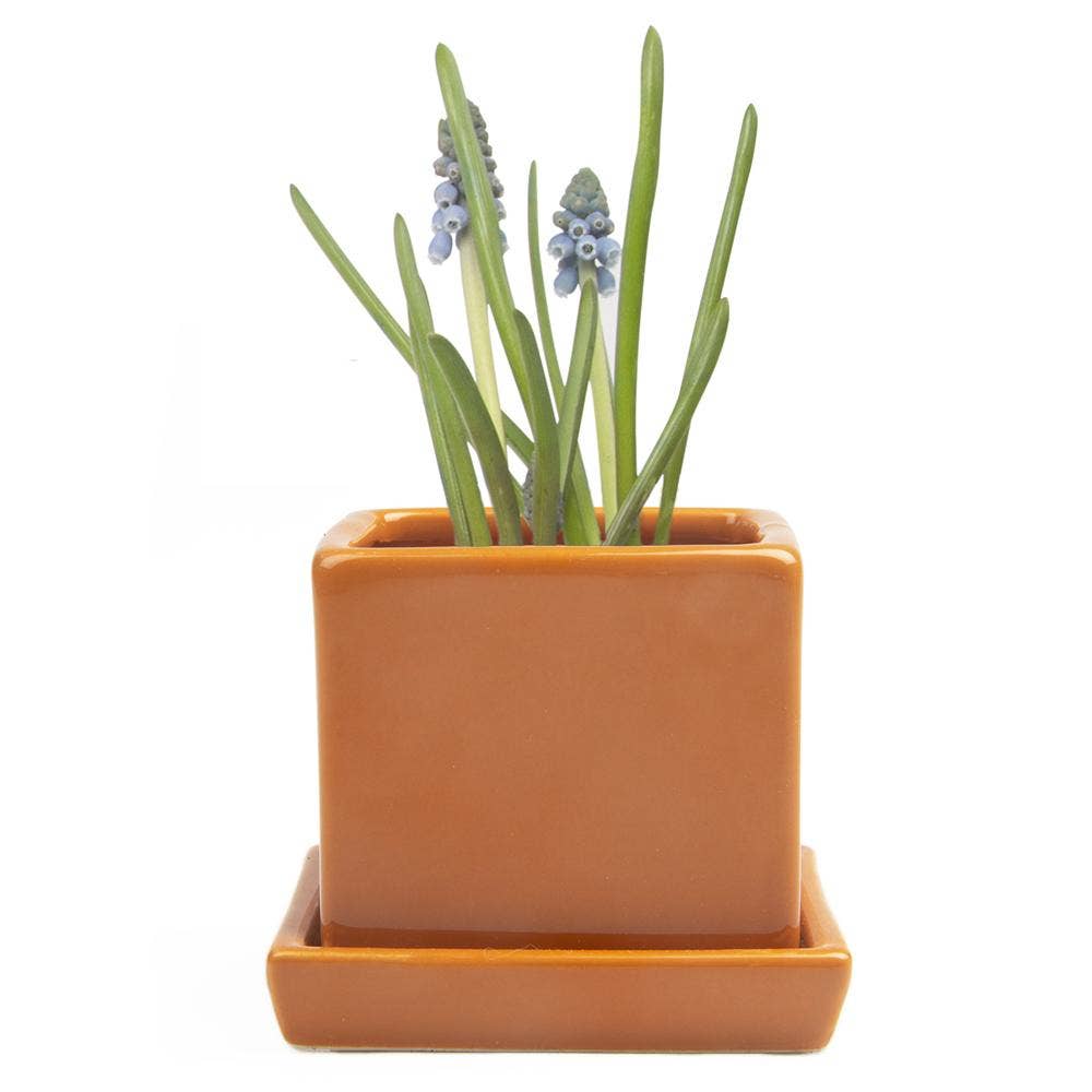 Chive - Wholesale Plant Pot - Cube Pot With Saucer And Drainage Hole 60 Plus Colors11