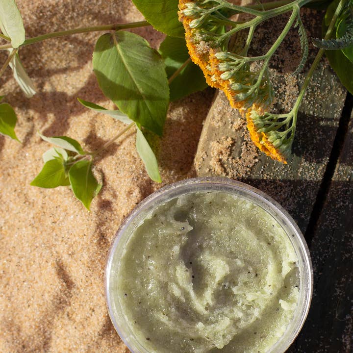 Bee Inspired - Wholesale Body Scrub/Exfoliant - Sea + Tea Body Scrub | 8oz Coastal Herbs Body Scrub12