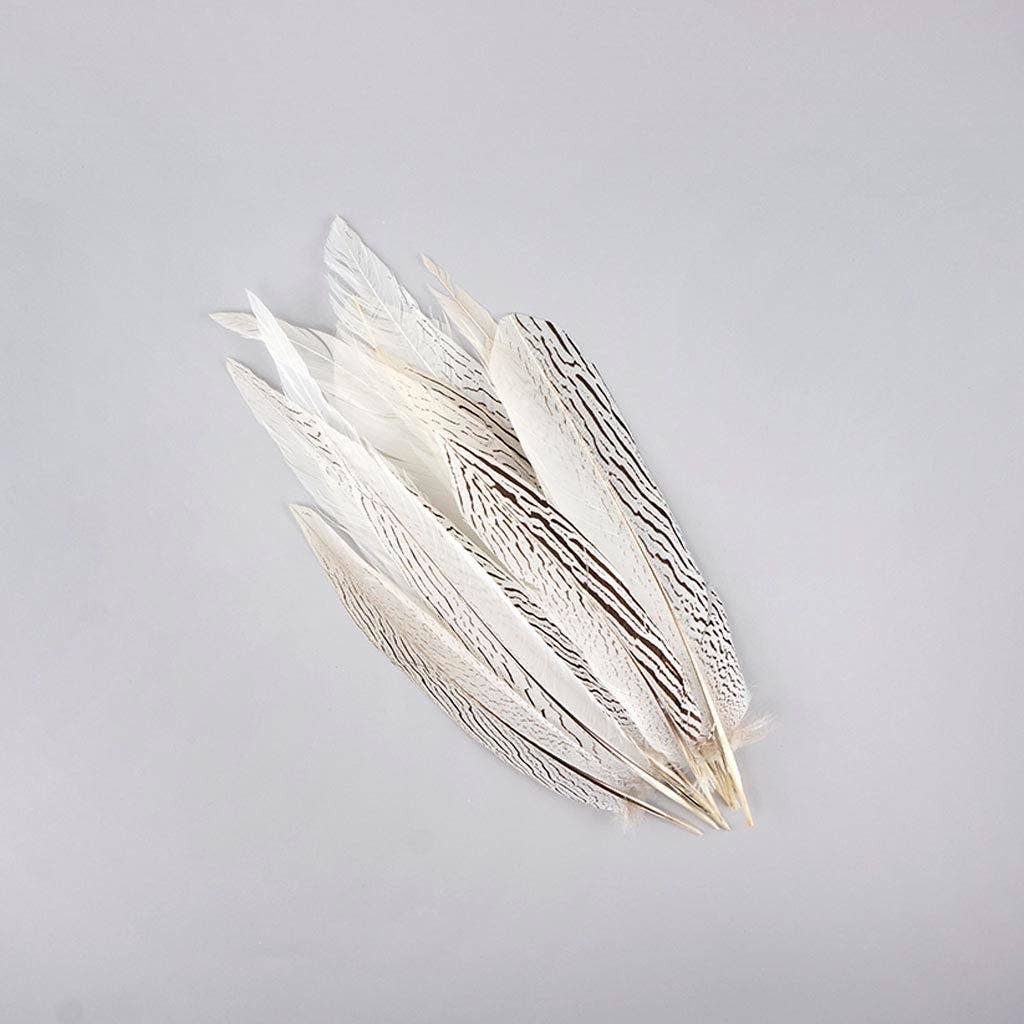 Zucker Feather Products - Vente Plume - Plumes de queue de faisan argentées - Naturelles1