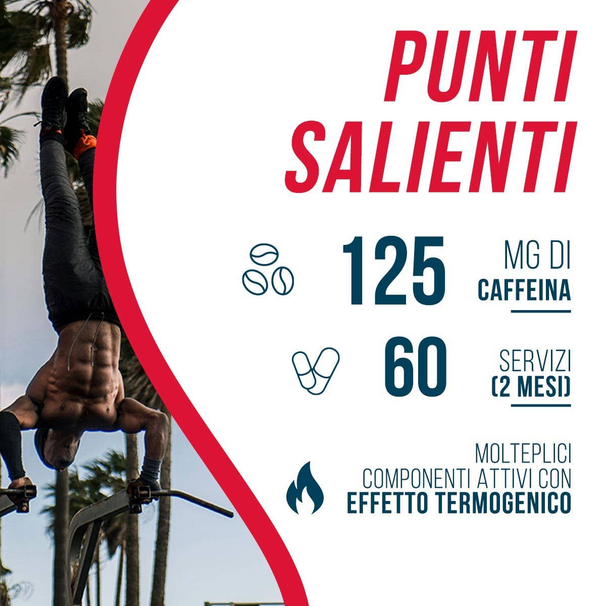 AMERICAN SUPLEMENT S.L. - Wholesale Oral Supplement/Vitamin - AS American Supplement | HardCore Fat Burner | Fat Burner10