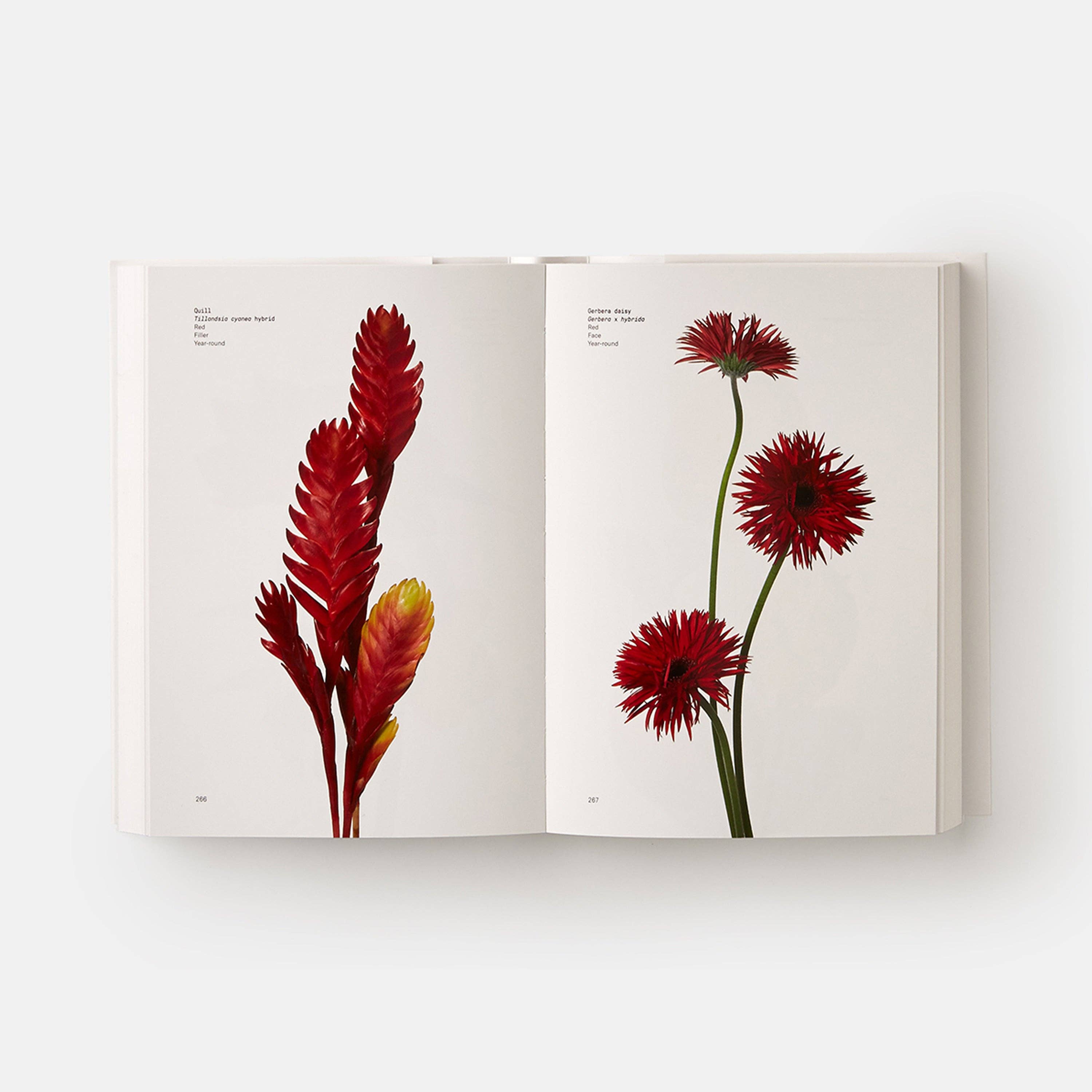 Phaidon Press – wholesale Book – Adult – Flower Colour Guide4