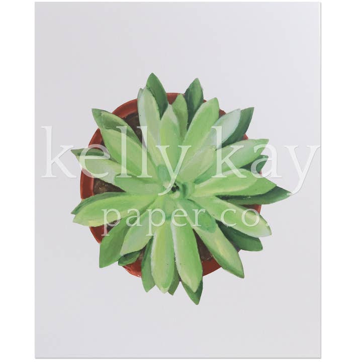 Kunstdruck | Sunburst Sukkulent für den Großhandel von Kelly Kay Paper Co.