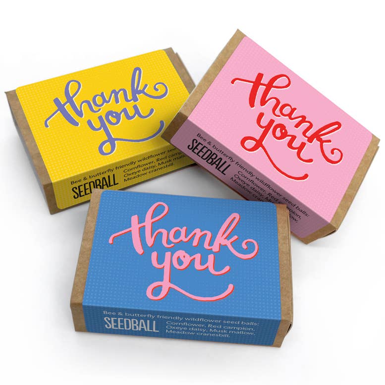 Seedball – wholesale Plant seeds – 50 Seed Boxes with Display Box6