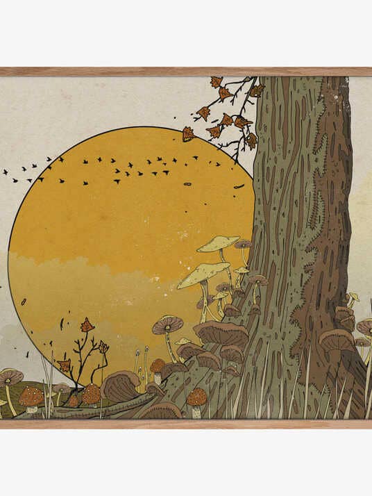 Mushroom Woodland for wholesale by Pictufy Wholesale