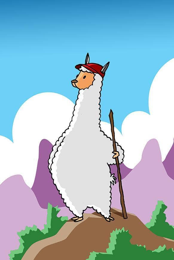 Choice Alpaca Products - Venta al por mayor Calcetines - Unisex - Calcetines Todo Propósito American Traveler 100 % Alpaca7