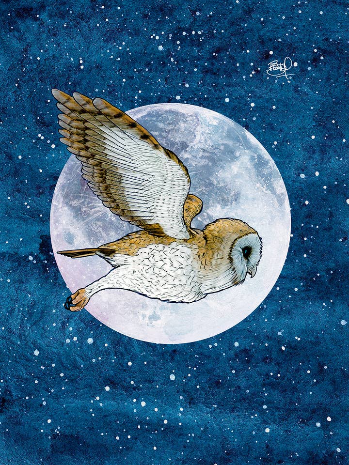 Luna Loft #270 - vertikal für den Großhandel von Shawn Braley Illustration